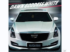 টিপিইউ-ডাউন গডসেস হোয়াইট