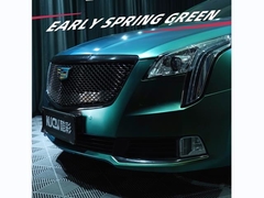 টিপিইউ-প্রারম্ভিক বসন্ত সবুজ (গ্লসি)