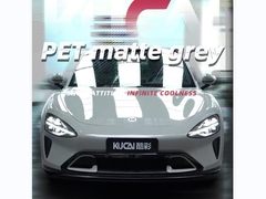 টিপিইউ-পোরশে ম্যাট গ্রে